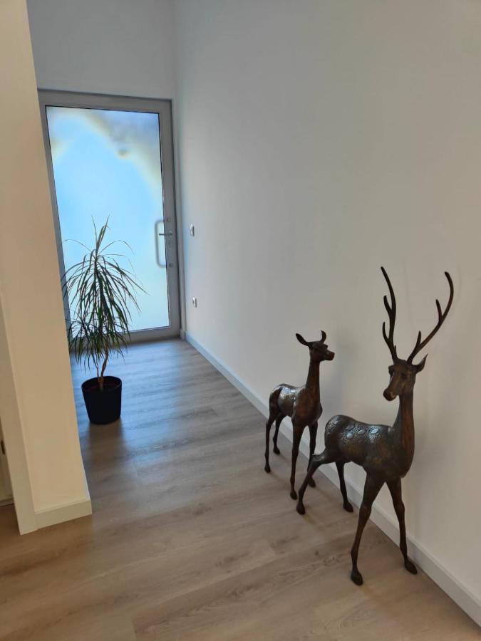 Quinta De Basto House Hotel Felgueiras Luaran gambar